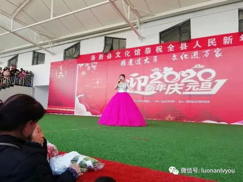 县文旅局成功举办喜迎元旦系列文艺演出暨文化艺术交流活动